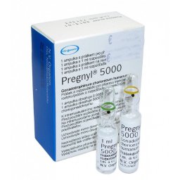 Buy HCG Pregnyl 5000iu