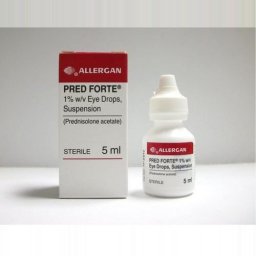 Buy Pred Forte 10 ml